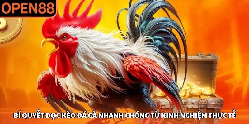 Bí quyết đọc kèo đá gà nhanh chóng từ kinh nghiệm thực tế Đá gà OPEN88